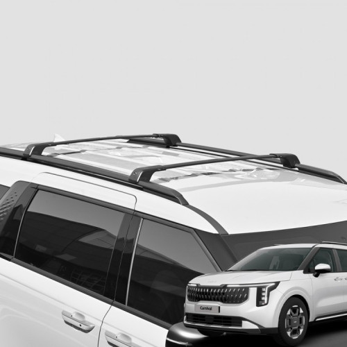 카니발 페이스리프트 루프 가로바