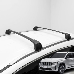 그랑 콜레오스 루프 가로바 루프랙